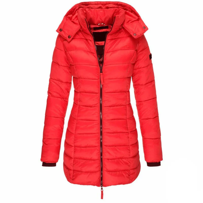Classic Designed Jacket