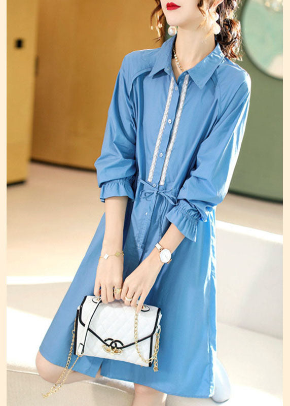 Blue Peterpan Collar Cotton Dress Spring
