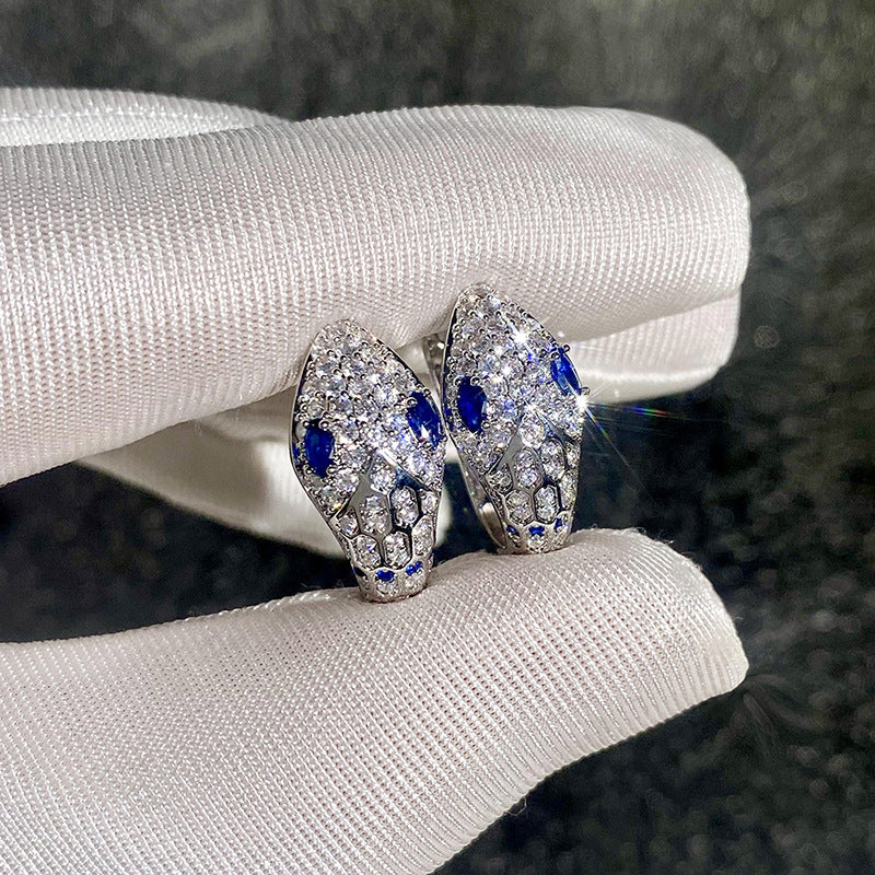 Atemberaubende Ohrring für den Alltag