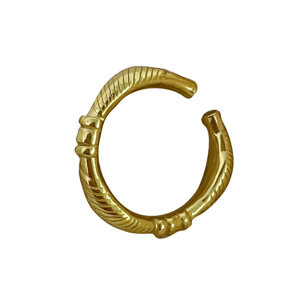 Romantische Ring für besondere Momente