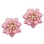 Atemberaubende Ohrring für den Alltag