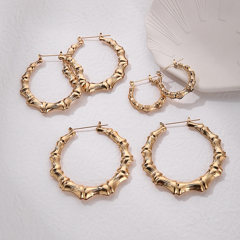 Atemberaubende Ohrring für den Alltag