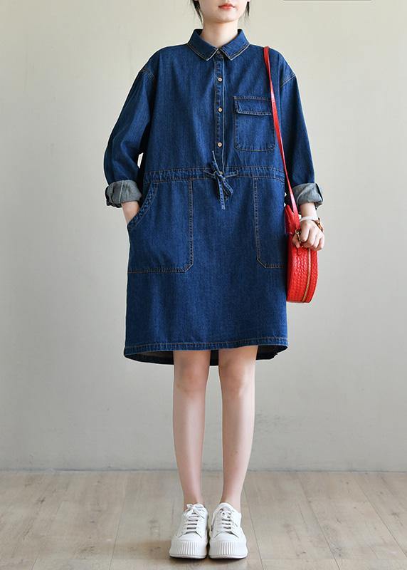 Blue Long Sleeve Cotton Spring Dress