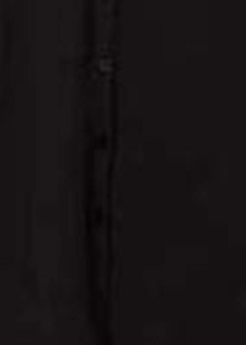 New Woman Black Shirt Embroidery Fringe Dress